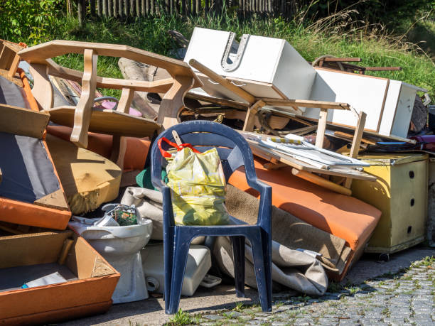Yard Cleanup Services in Sardis City, AL
